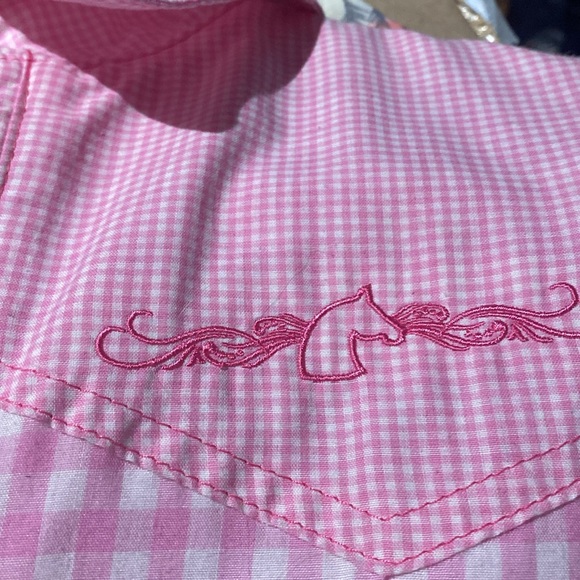 Panhandle Slim pearl snap medium button down embroidered pink and silver western - Picture 5 of 5
